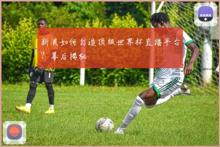 新浪如何打造顶级世界杯直播平台?幕后揭秘