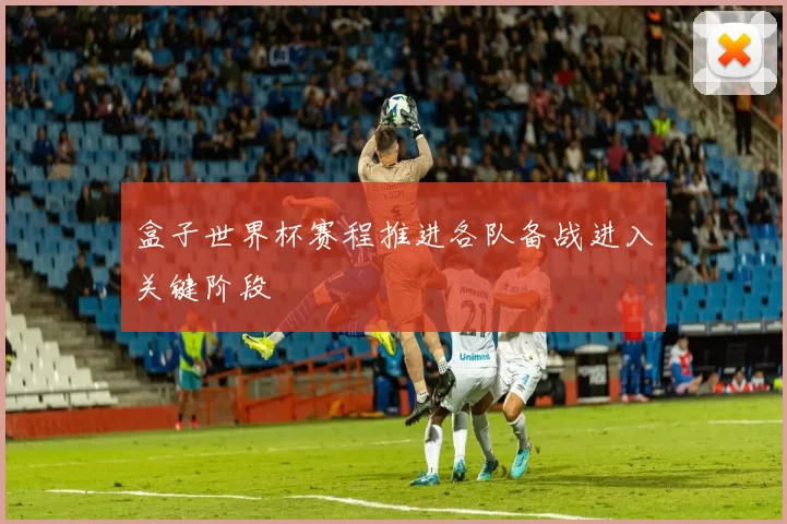 盒子世界杯赛程推进各队备战进入关键阶段
