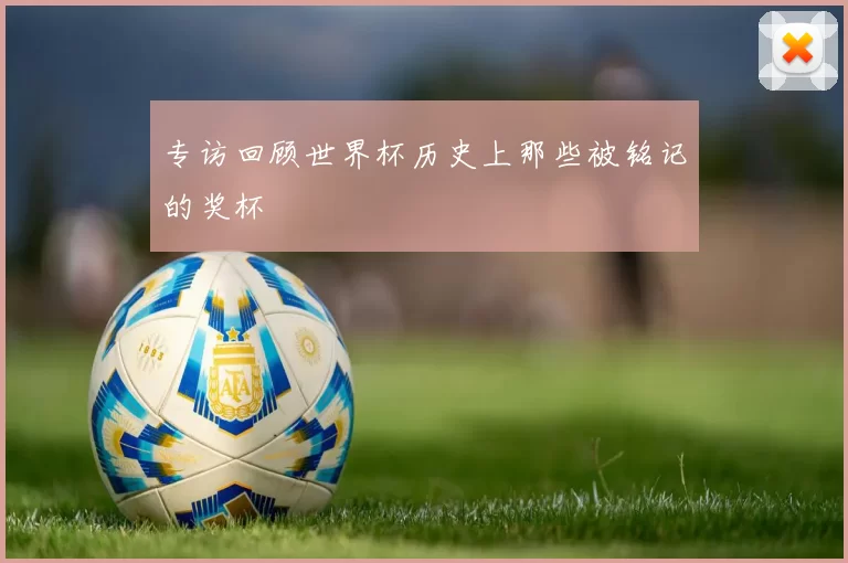 专访回顾世界杯历史上那些被铭记的奖杯