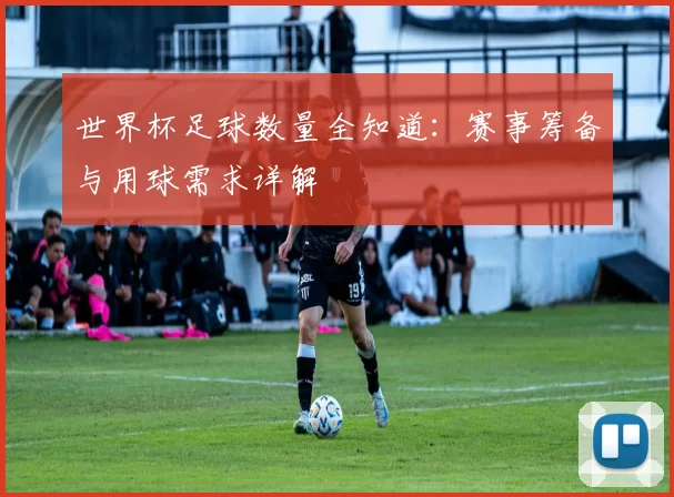 世界杯足球数量全知道：赛事筹备与用球需求详解