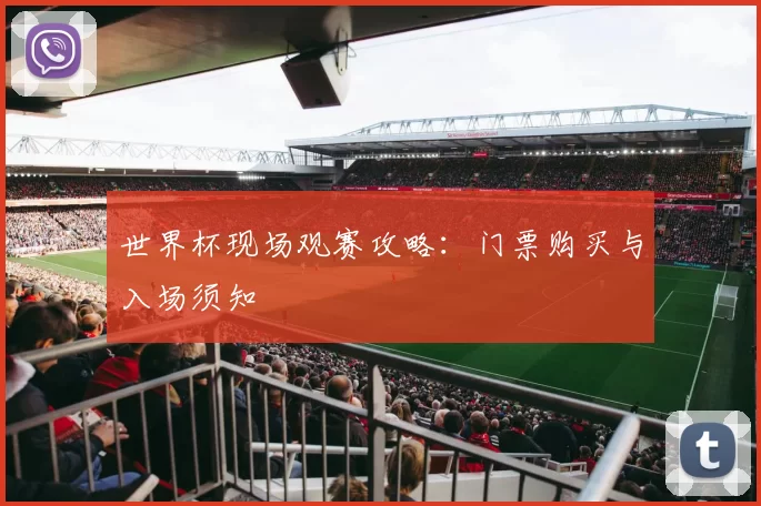 世界杯现场观赛攻略：门票购买与入场须知