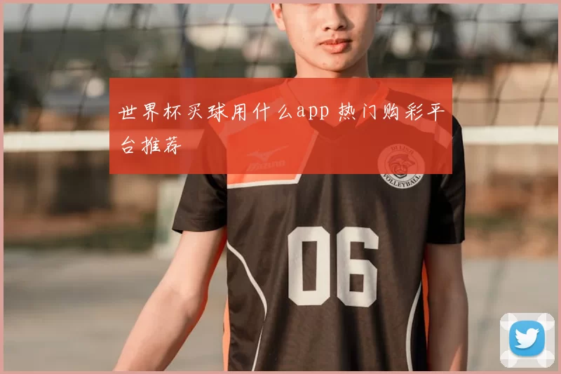 世界杯买球用什么app 热门购彩平台推荐