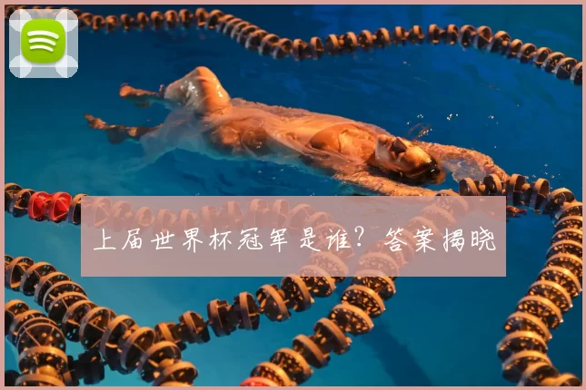 上届世界杯冠军是谁？答案揭晓