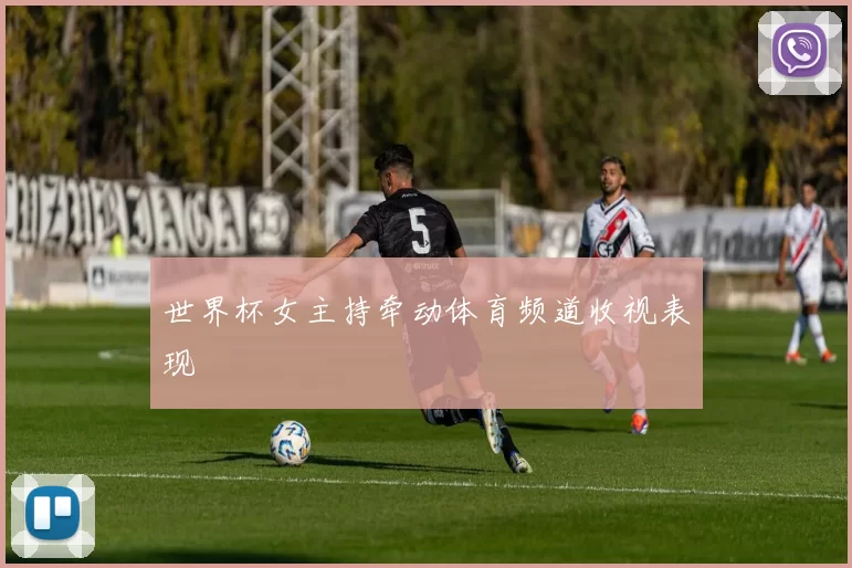 世界杯女主持牵动体育频道收视表现